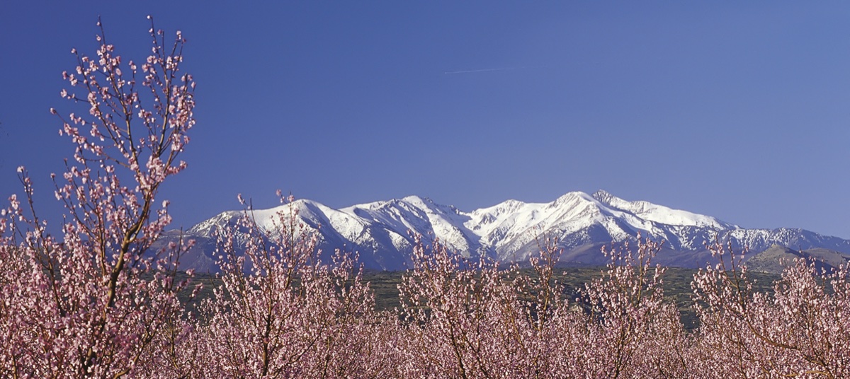 Sébastien Froidevaux, développeur web freelance à Perpignan et Argelès-sur-Mer, formé à l'École 42